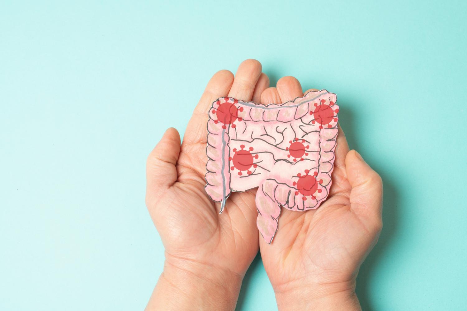 Microbiota intestinale: cos’è, perché è fondamentale per la salute e quando fare gli esami